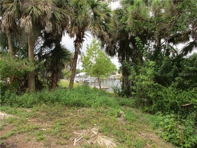 Selection of native palms to work with