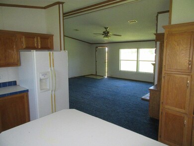 12619 County Road 38, Alvin, TX 77511 - photo 3
