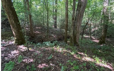 Additional View