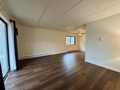 244 Klein Creek Ct unit 1A, Carol Stream, IL 60188 - photo 5