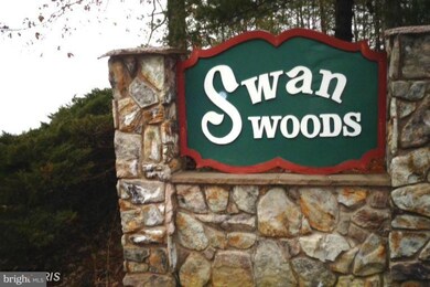 0 Swan Woods Rd unit 1003762273, Rhoadesville, VA 22542 - photo 7