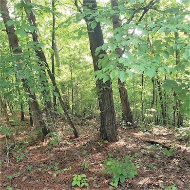 View of landscape