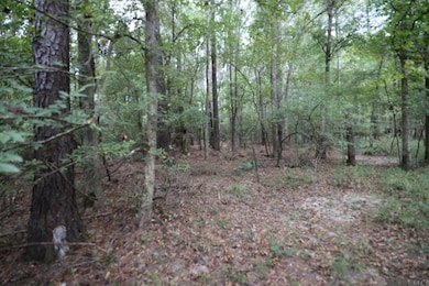 211 Fred Rogers Rd, Montgomery, LA 71454 - photo 5