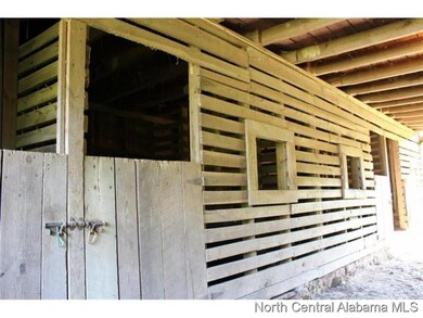 260 County Road 463, Cullman, AL 35057 - photo 4