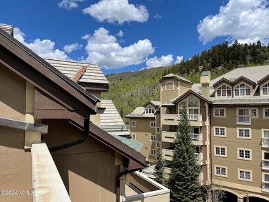 St James Place unit R-410 Week 24, Beaver Creek, CO 81620 - photo 2