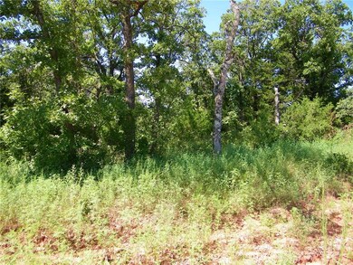 0 Pecan Valley Rd Lot 67 unit 703469, Tecumseh, OK 74873 - photo 6
