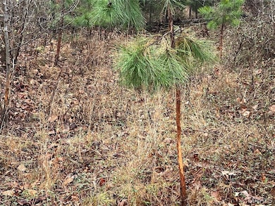 Madison 244 County Road 244, Fredericktown, MO 63645 - photo 5