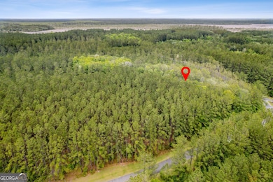 V/L 018 La Vento Ln, Waverly, GA 31565 - photo 4