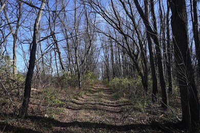55824 County Line Rd, New Carlisle, IN 46552 - photo 2