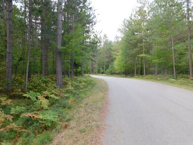 Lot 26 McCarthy Lake Rd, Tomahawk, WI 54487 - photo 2