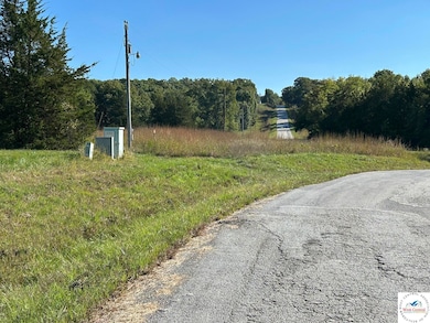 0000 Shenandoah, Tom Township, MO 65355 - photo 3