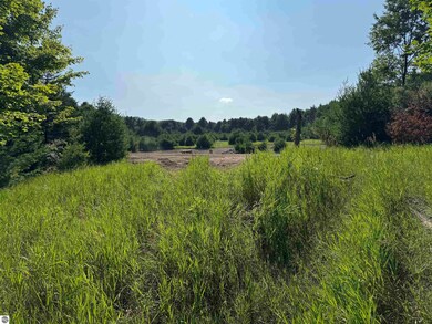 Lot #6 E Bellinger Rd, Cedar, MI 49621 - photo 6