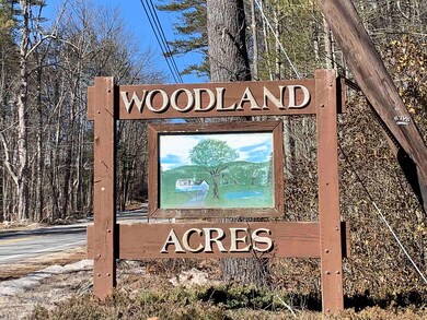 5 Roberts Rd, Brookfield, NH 03872 - photo 2