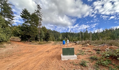 780 Tunnel Rd, Glendale, OR 97442 - photo 7