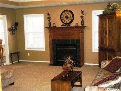 204 Shady Acres Cir, Nixa, MO 65714 - photo 2