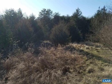 16 Ridgeview Dr, Ruckersville, VA 22968 - photo 2