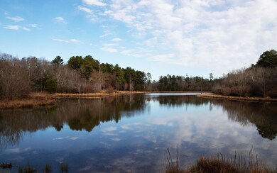 Access to Anderson Pond