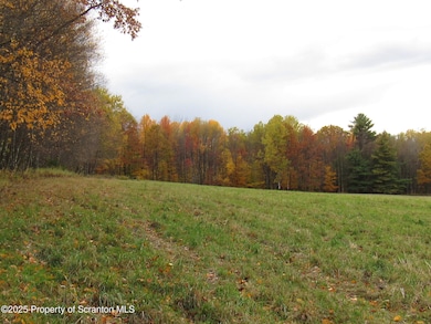 0 Pennsylvania 167 unit GSBSC255838, Brackney, PA 18812 - photo 3