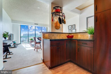 The Griffin Condominium unit 805, Washington, DC 20037 - photo 7