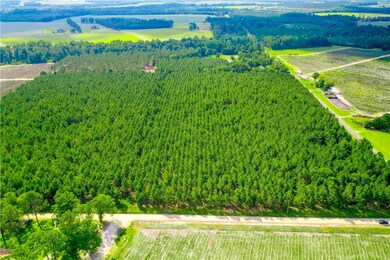 4060 County Farm Rd, Blackshear, GA 31516 - photo 6