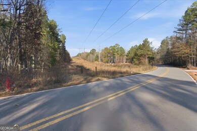469 Lee Williams Rd, Carrollton, GA 30117 - photo 5