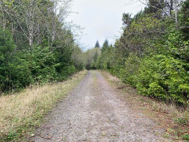 IMG-0725