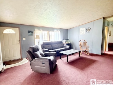 3200 Clymer Sherman Rd, Sherman, NY 14781 - photo 4