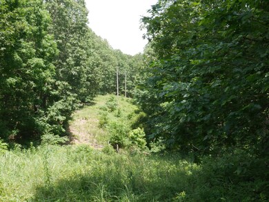 Tbd Tract #1 Private Rd 1197, Aurora, MO 65605 - photo 7