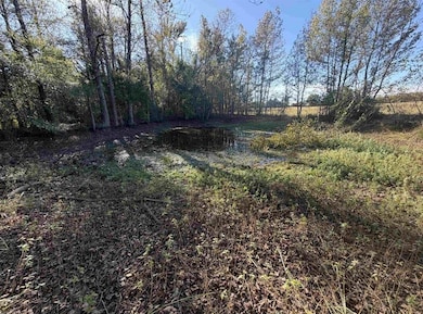 Tbd County Road 4316, de Kalb, TX 75559 - photo 6