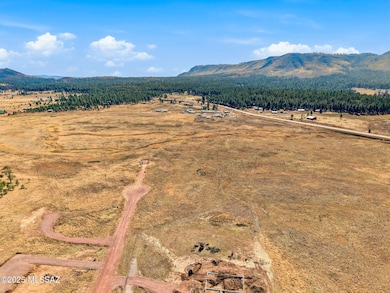 Lot 25 the Ranch at Alpine unit 25, Alpine, AZ 85920 - photo 3