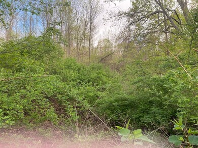 Lot 36 Oneill Rd, Warren, MA 01083 - photo 3