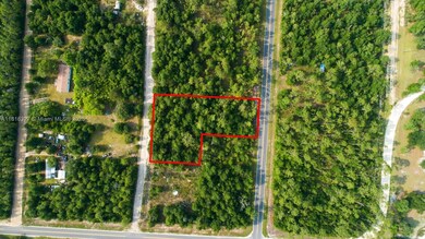 0 NW Lakeview Rd unit A11816327, Altha, FL 32421 - photo 7