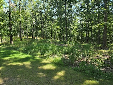 Lot 8 Esculapia Hollow Rd, Rogers, AR 72758 - photo 3