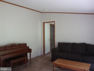 42 Batman Hill Rd, Luray, VA 22835 - photo 3