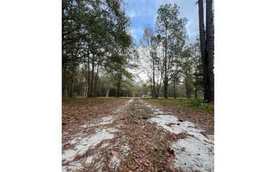 255 SW Cherrywood Way, Lake City, FL 32025 - photo 2