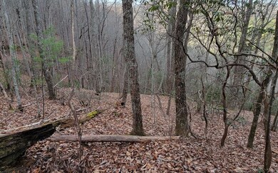 Additional View