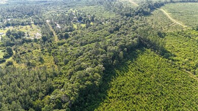 0-0 Foxwood Rd, Nahunta, GA 31553 - photo 7