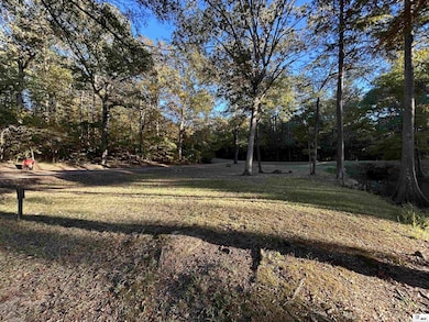 000 Hurricane Creek Rd, Downsville, LA 71234 - photo 2