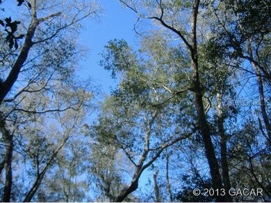 247 Indian Lakes Forest Rd, Florahome, FL 32140 - photo 4