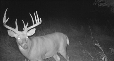 000 255th Ave, Osceola, IA 50213 - photo 3