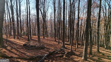 LOT 11 Mountainside Dr, Cleveland, GA 30528 - photo 3