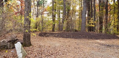 30 R Jones Rd unit D, Spencer, MA 01562 - photo 6