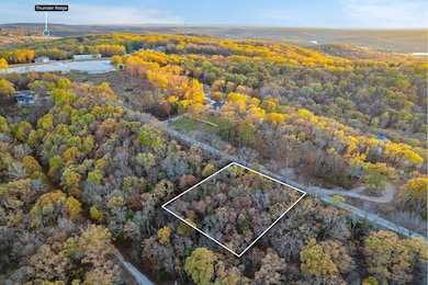 24 & 25 Lakeview Dr, Hollister, MO 65672 - photo 5