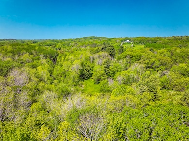 DJI_0147