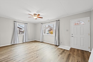 709 E Michigan Ave, Urbana, IL 61801 - photo 4