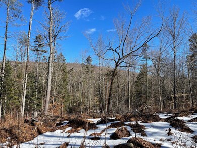 0 Reed Rd unit 4900137, Marlow, NH 03456 - photo 7