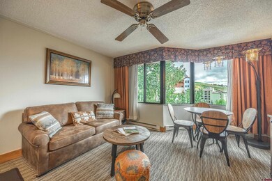 6 Emmons Rd unit 553, Crested Butte, CO 81225 - photo 4