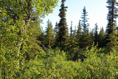 Stone River Lot 8