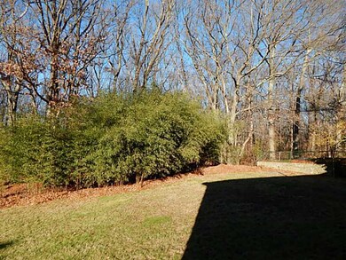 Yard/Garden.