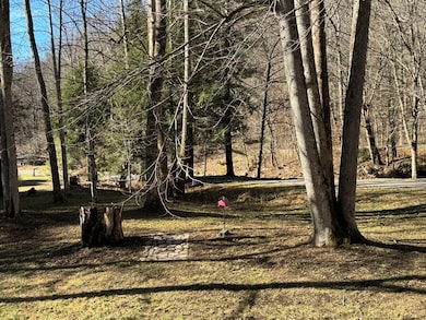 80 Larkspur Ln, Cullowhee, NC 28723 - photo 7